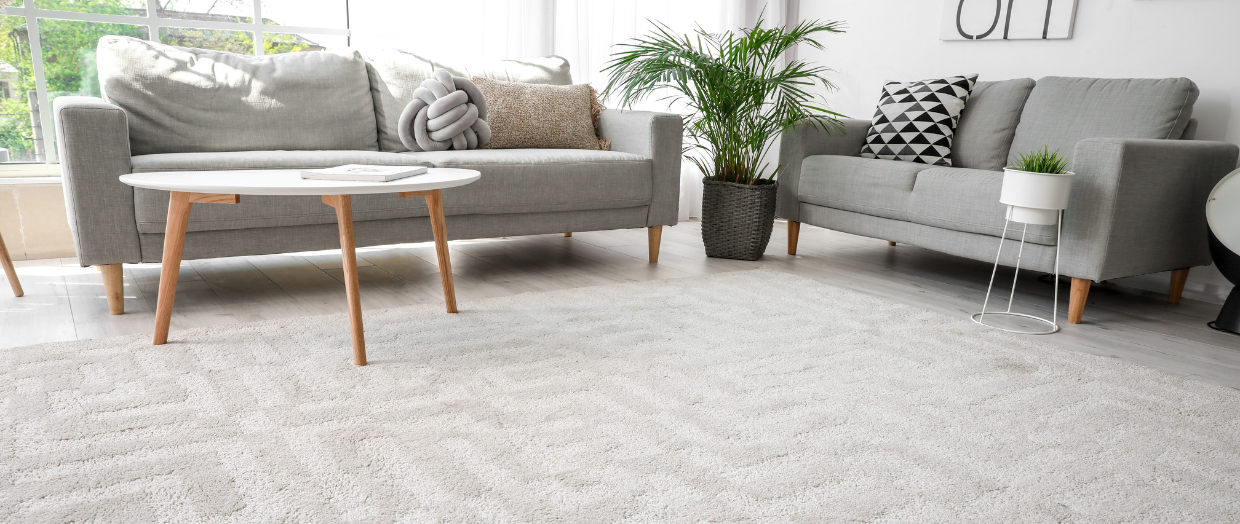 carpet living room